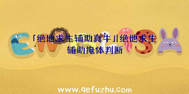 「绝地求生辅助真牛」|绝地求生辅助掩体判断